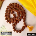 Rudraksha Mala 54 Beads - Image 2