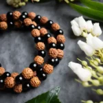 5 Mukhi Rudraksha With Black Onyx Stone Bracelet - Image 2